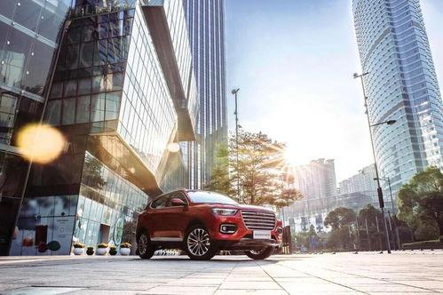 哈弗内部爆料视频大全集,揭秘哈弗家族神秘面纱