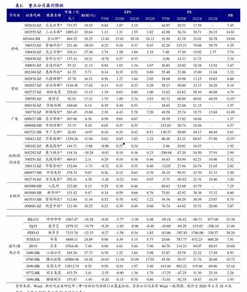 新皮肤爆料价格表最新,价格揭晓，惊喜与期待并存！