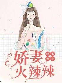 美娇妻丝袜小说全文阅读