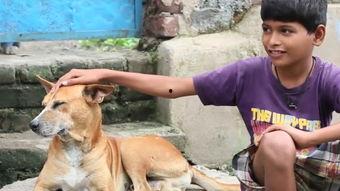 母狗任洁在线观看,一场真实情感与欲望的交织