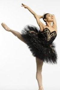 欧美舞蹈明星,舞动潮流的璀璨星辰