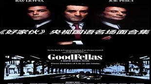 美国好家伙在线播放,一场热血沸腾的兄弟情义之旅